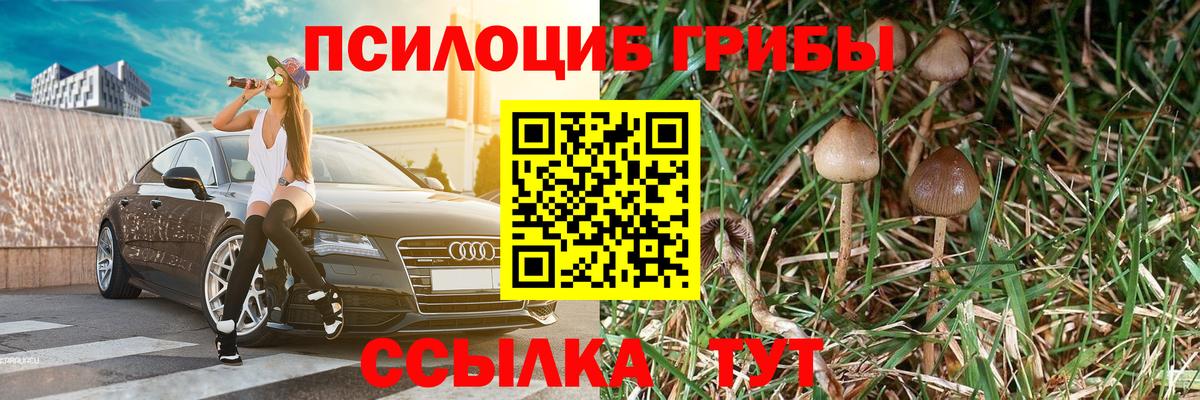 Прохладный  Псилоцибиновые грибы мухоморы  Вход с VPN 