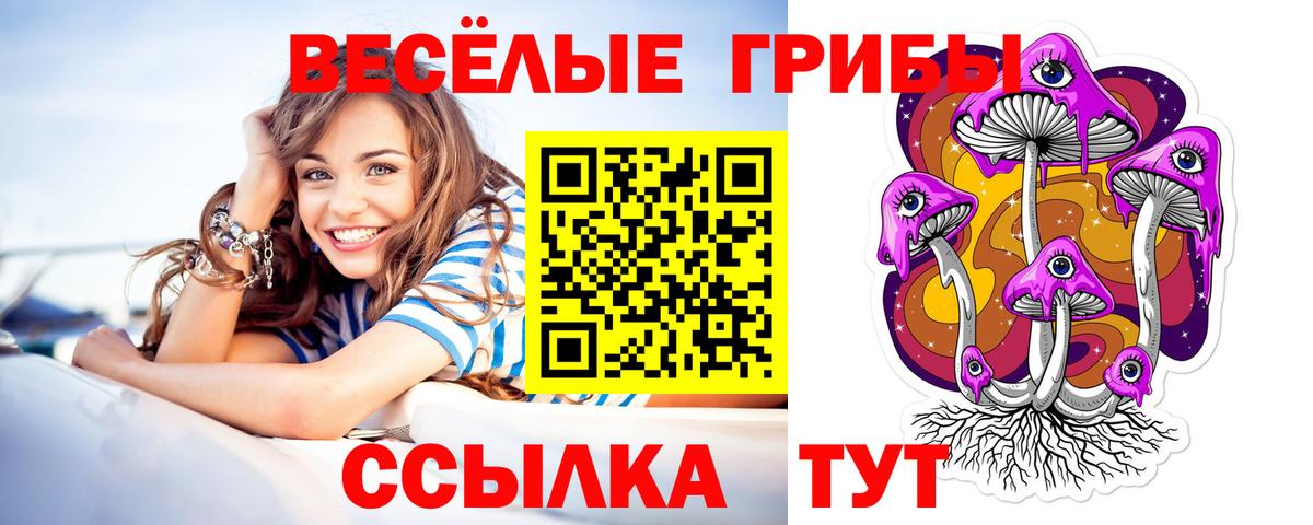 Псилоцибиновые грибы Cubensis Прохладный
